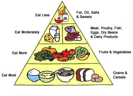 The traditional Food Pyramid that we've all been taught, the basis of our food choices today