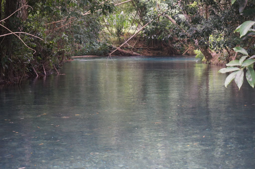Imagine yourself in the cool, clear, blue waters of the White River, at Hidden Beauty, Jamaica
