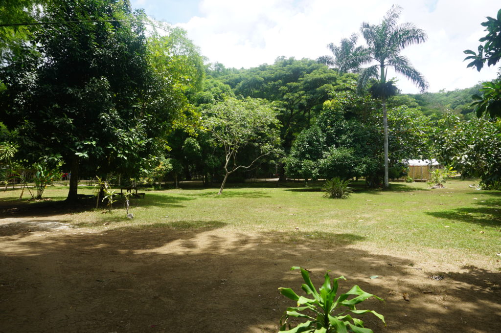 The grounds at Hidden Beauty, Jamaica