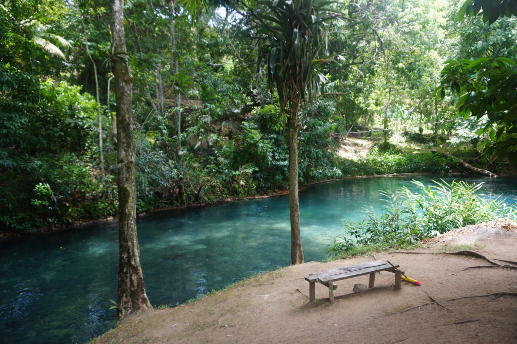Hidden Beauty along the White River, Jamaica