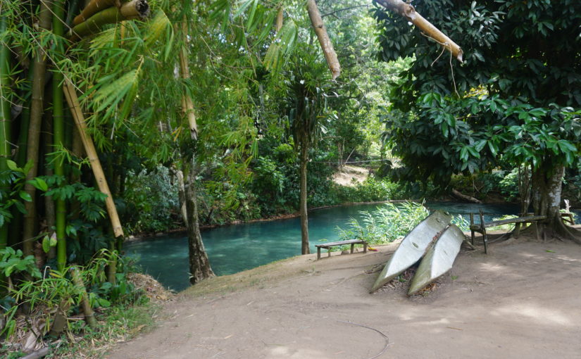 Hidden Beauty: Our River Adventure in Jamaica!