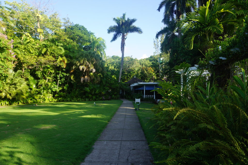 The lawns at Goblin Hill villas