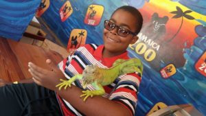 Jamaica Road Trip: Jamaica Zoo Petting Session with Iguana