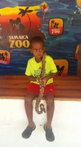 Jamaica Road Trip: Jamaica Zoo. Little Boy with Snake