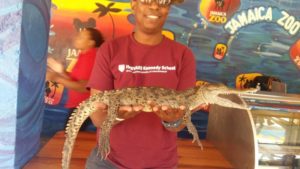 Jamaica Road Trip: Jamaica Zoo. Man with crocodile.