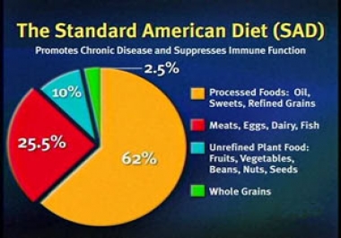 Infographic demonstrating the Standard American Diet (SAD)