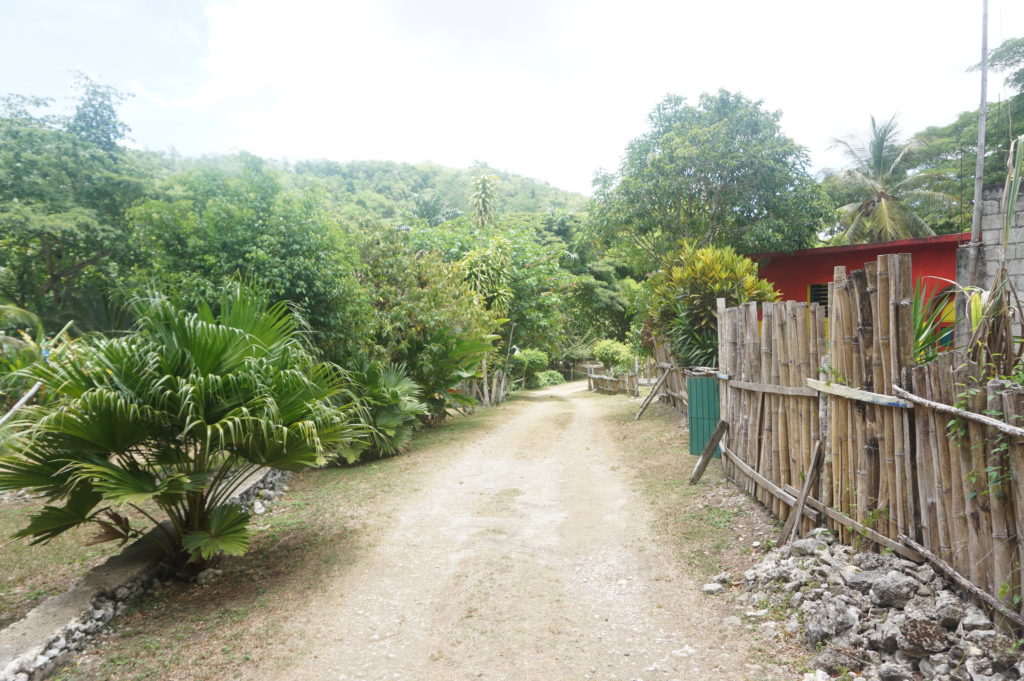 Entrance to Hidden Beauty, Jamaica