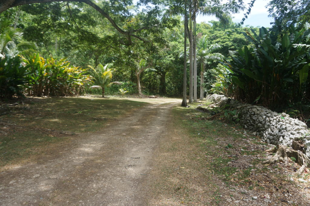 The grounds at Hidden Beauty, Jamaica