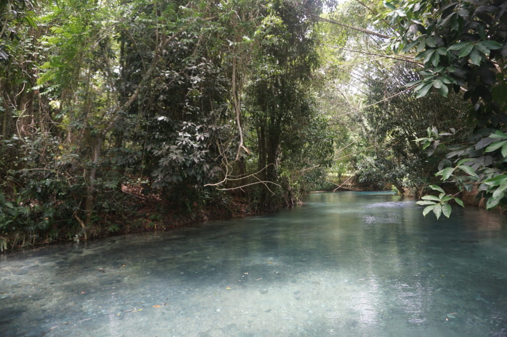 Imagine yourself in the cool, clear, blue waters of the White River, at Hidden Beauty, Jamaica