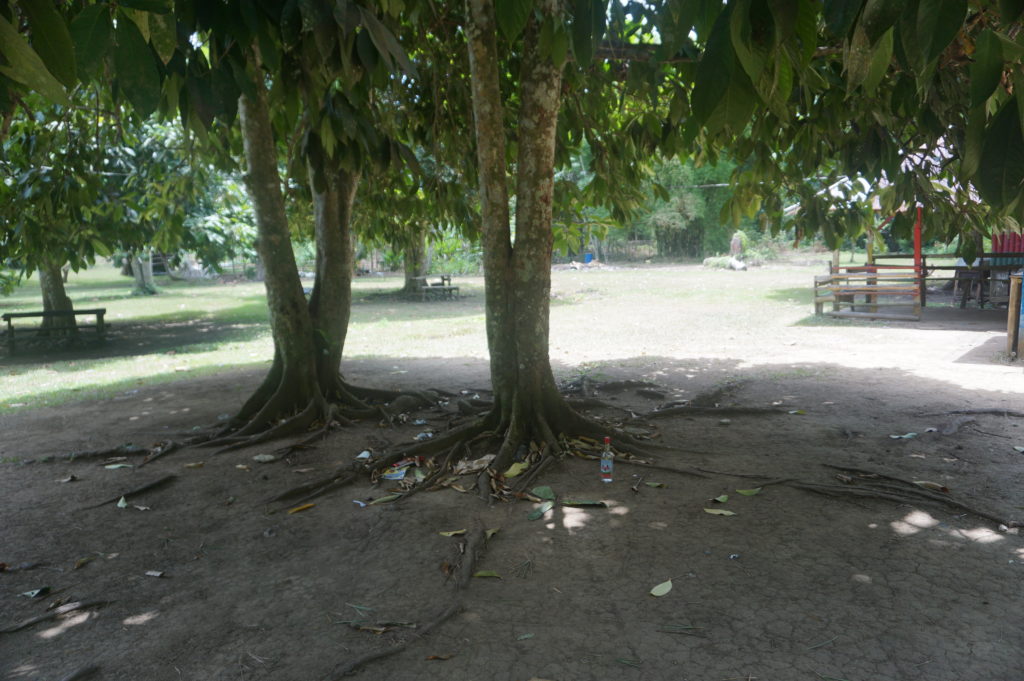 An emerging garbage problem that can and should be dealt with at Hidden Beauty, Jamaica