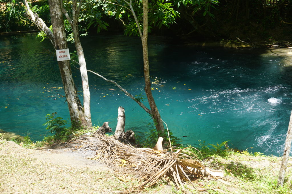 Hidden Beauty along the White River, Jamaica