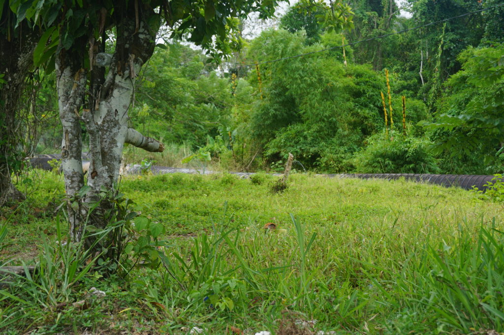 Part of the pipeline carrying water to the JPS Hydroelectric installation