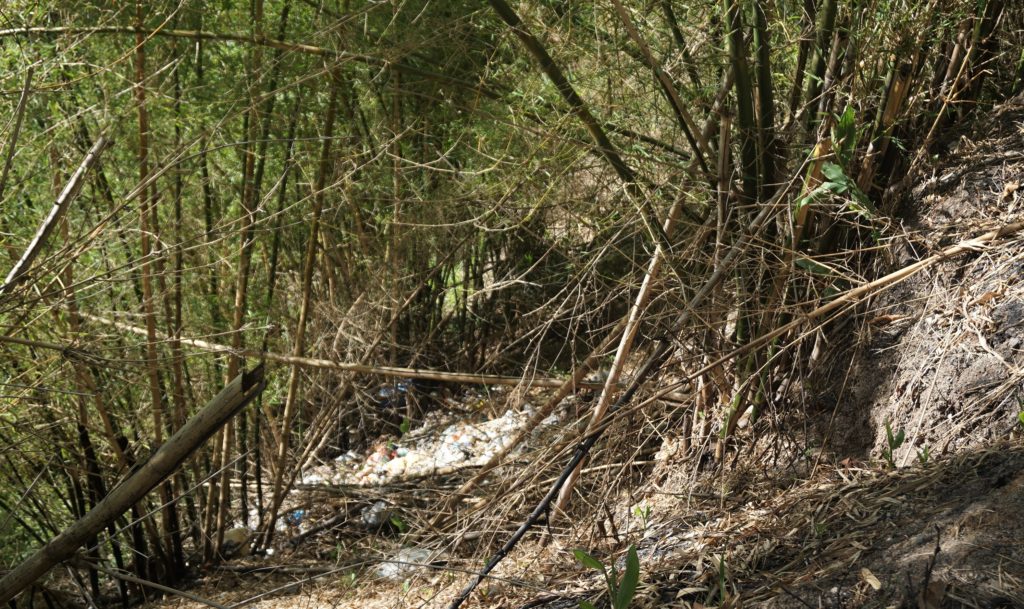 The ever present, heartbreaking spectre of garbage, even in the foothills of the Blue Mountains