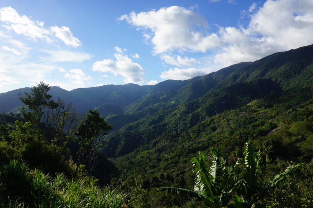 Mountain views