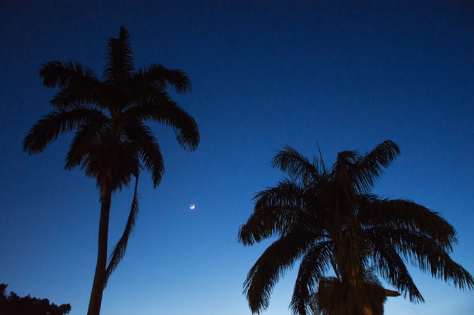 Under the moon and stars at Goblin Hill. Photo courtesy Rachael McIntosh